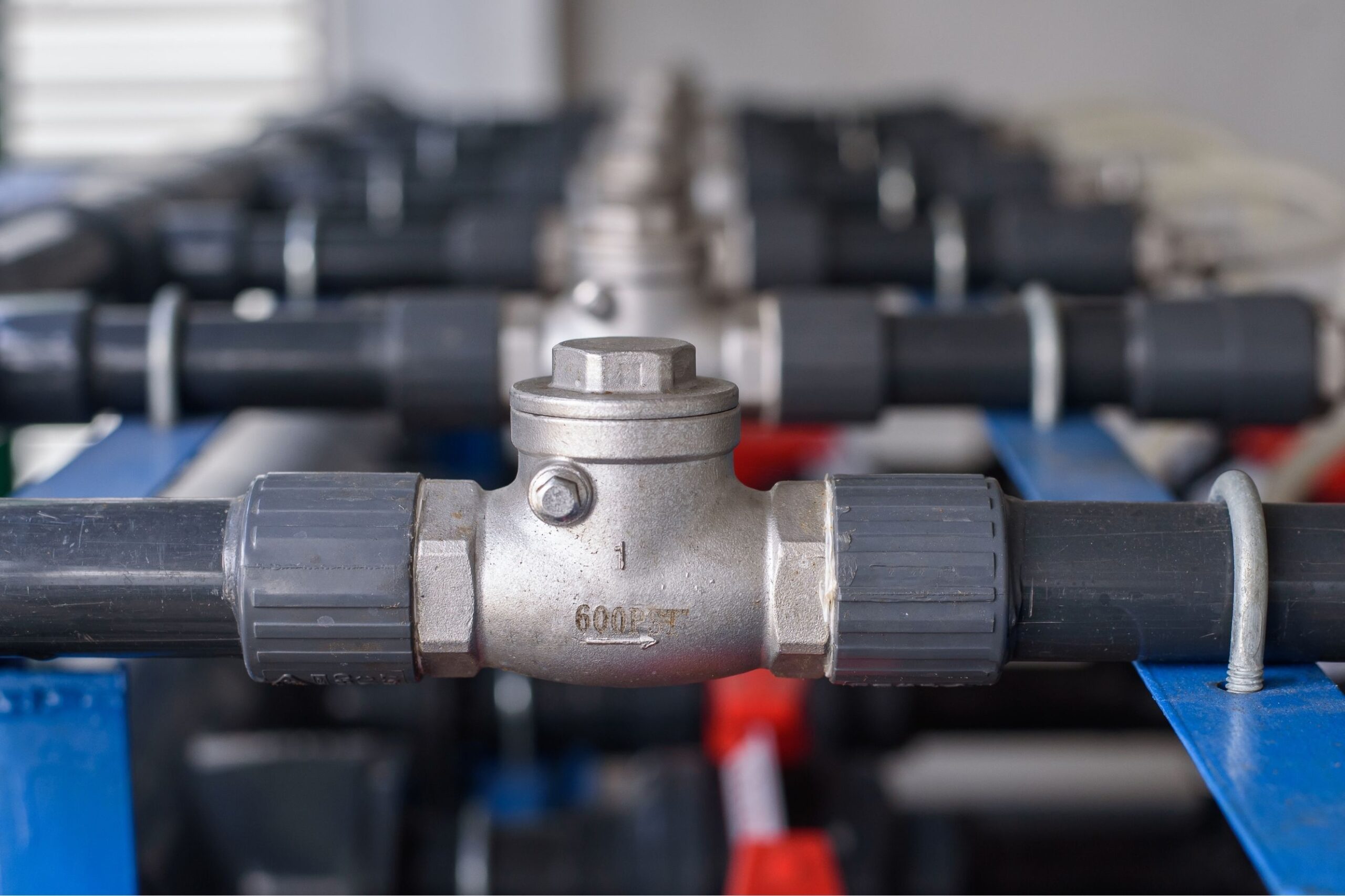 Illustrative example of check valve from Google Search