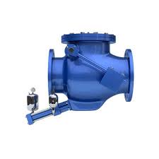 APCO Swing Check Valves (CVS-6000) - DeZURIK - swing check valve