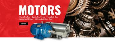 Leading Industry Standard Electric Motors and Pumps Supplier - electrical motor