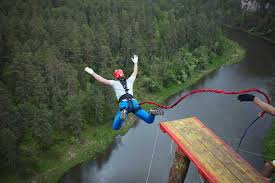 The 10 Best Bungee Cords of 2025 (Reviews) - FindThisBest - bungee chord