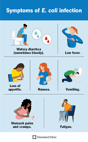 E. coli - Symptoms and causes - Mayo Clinic - electronic coils