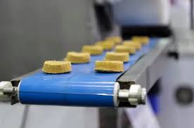 A Complete Guide to Belted vs. MDR Conveyor Systems - conveyor bell