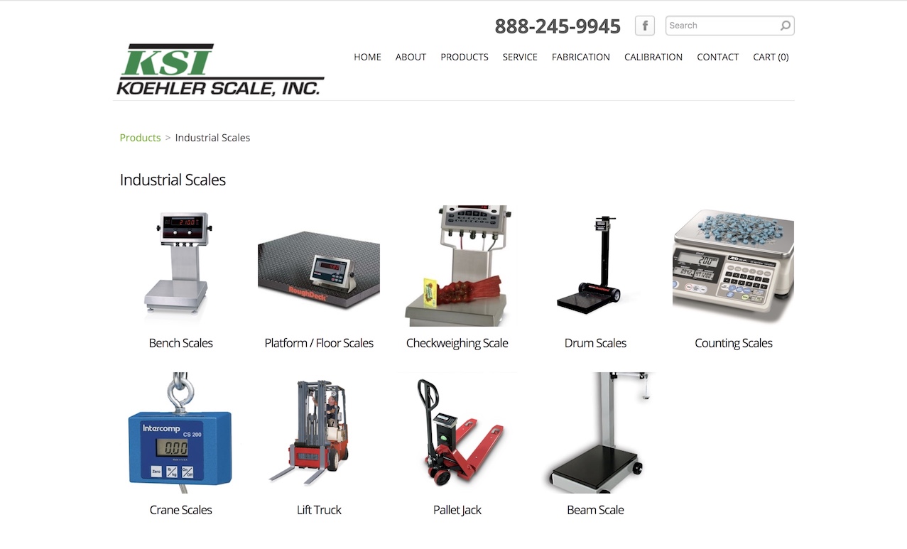 Illustrative example of scale manufacturers from Google Search