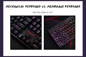 Membrane vs Mechanical Keyboard: Which is Best for You in 2025? - membraine keyboard