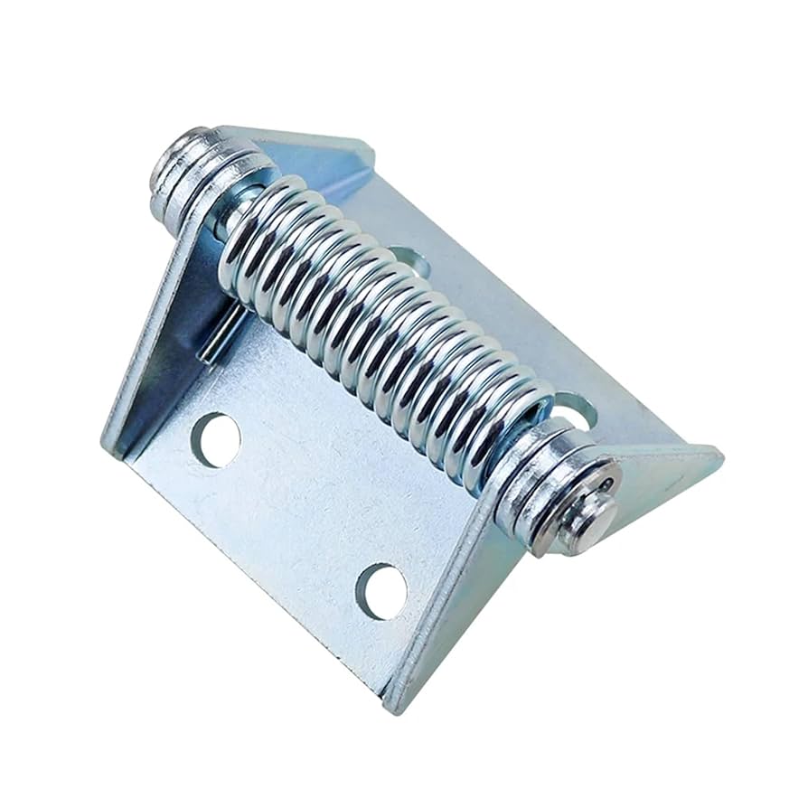Illustrative example of small spring hinge from Google Search