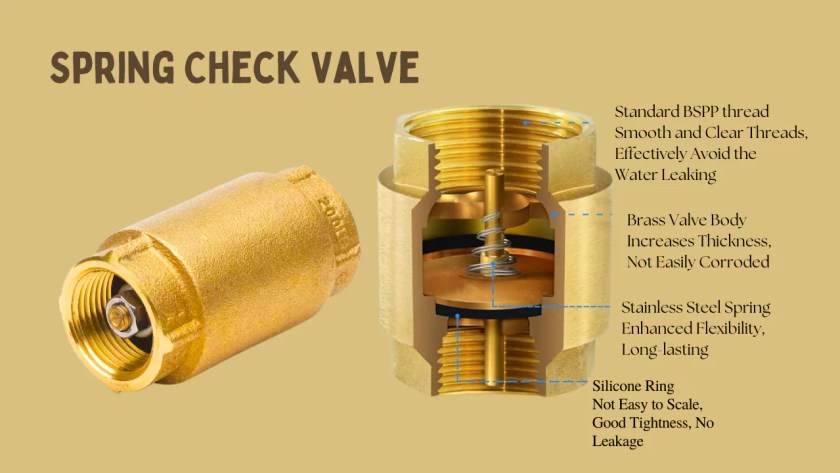 Illustrative example of spring loaded check valves from Google Search