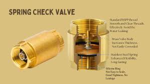What Is a Spring Check Valve and How Does It Work? - spring check valve