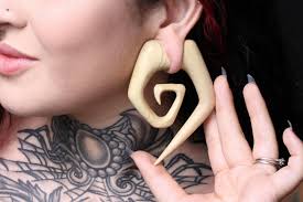 Stretched Ear Hand Carved Plugs, Tunnels, Gauge, and Hangers - 2 plug