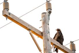 Insulators and technical services for electric, utility, OEM customers - ceramic insulators