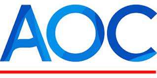 Illustrative example of aoc llc from Google Search