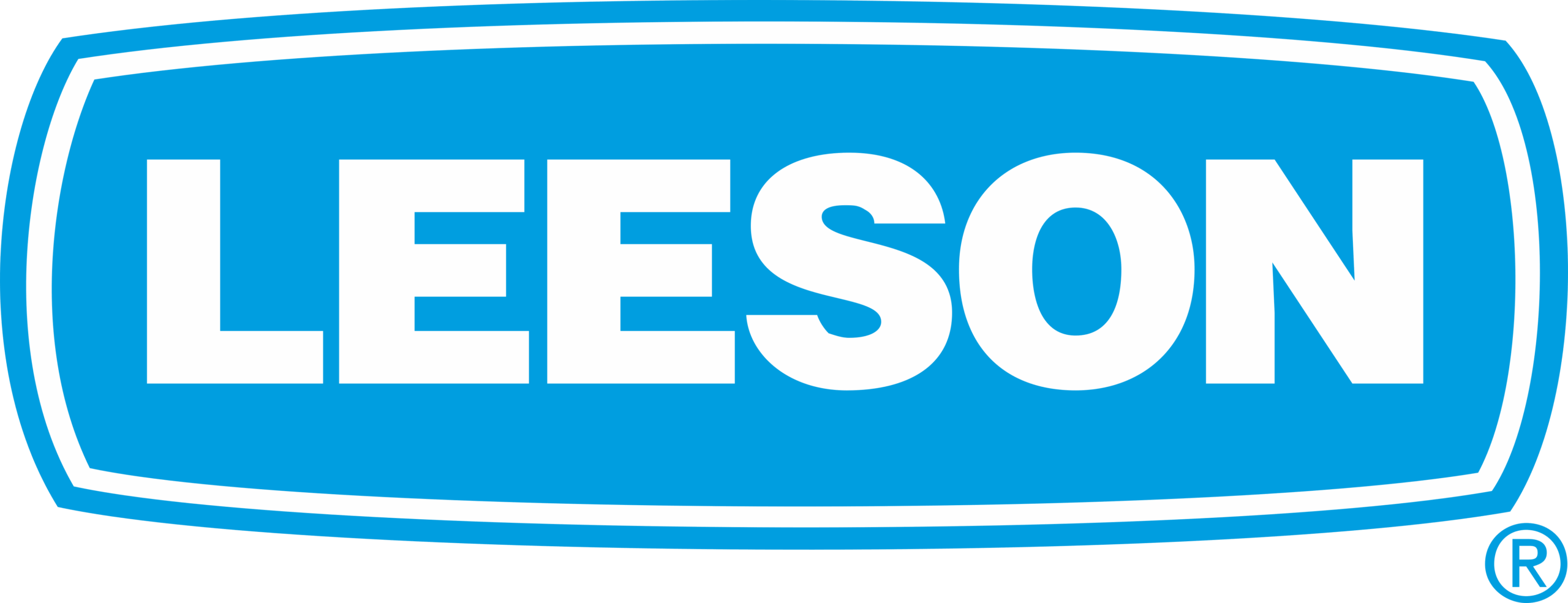 Illustrative example of leeson electric corp from Google Search