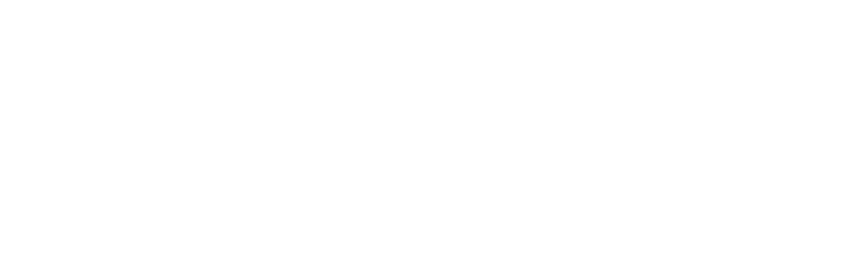 Illustrative example of washington crane from Google Search